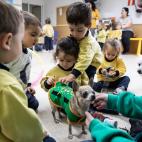 5dad7c802100005c20ad364c