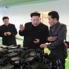 5c8a964c3b000037066c27b1