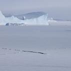 Es el único continente no habitado (salvo por los equipos científicos que viven en bases aisladas), y el 98% de su superficie está cubierta de hielo de casi dos kilómetros de espesor. Por ello contiene también el desierto más grande del mu...