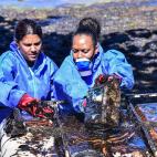 Una enorme mancha de petr&oacute;leo que amenaza las paradis&iacute;acas playas de Mauricio