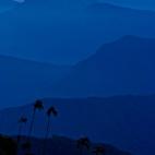 Siendo la cordillera costera más alta del mundo, su ecosistema es igualmente único. El estudio la la considera la zonas más irreemplazable del planeta.