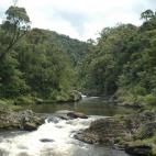 Separada del continente indio hace millones de años, Madagascar en la zona del planeta con más endemismos. El 90% de sus plantas y mamíferos sólo se encuentran aquí. La imagen es del Parque Nacional Ranomafana.
