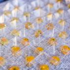 Los dados de sopa Tandoori realizados por Casa Fermín.