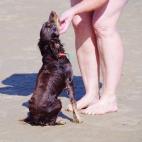 5c8b0a402500000d04c9eb75