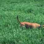 5c8b0a4122000033001a2756