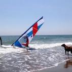 5c8b0a412300007f0123fb49