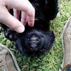 5c8b0a412500000d04c9eb77