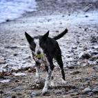 5c8b0a42200000430470058d