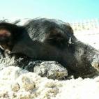 5c8b0a422500001304c9eb79