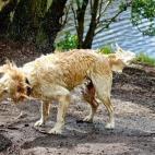 5c8b0a4322000031001a275a