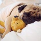 5c8b0a432300007f0123fb4b