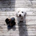 5c8b0a432400006d054cba96