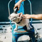 5c8b0a432500000704c9eb7d