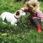 5c8b0a44360000c81a6c573f