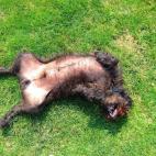 5c8b0a4422000031001a275e