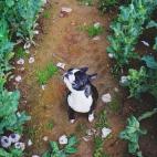 5c8b0a452000004304700591