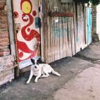 5c8b0a452500001304c9eb81