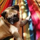 5c8b0a452400006c05a3f6b9