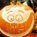 Seguir a next_stop_neverland