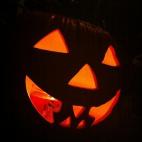 Seguir a alexharwood7