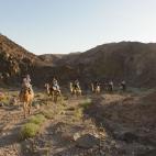 Un desierto como el de Neguev, que llega a alcanzar los 50ºC en algunas zonas, es un sitio duro para cualquiera, pero no para los camellos. “Esta parte del desierto de Neguev fue durante mucho tiempo el hogar de los beduinos (sigue siéndolo,...