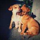 5c8b0a46360000a61b6c5741