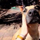 5c8b0a463b000054066cd89d