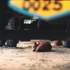 5c8b0a4624000093024cba9a