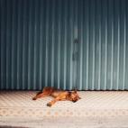 5c8b0a472000009e04700597