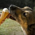 5c8b0a4722000030001a2760