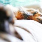 5c8b0a472400000a05a3f6bd