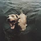 5c8b0a482000009d0370059b