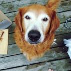 5c8b0a4822000030001a2764