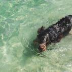 5c8b0a49360000e01c6c5745