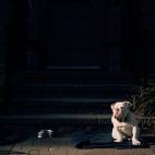 5c8b0a492300002f00e772fa