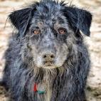 5c8b0a492000009d0370059f