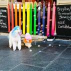 5c8b0a4a360000c81a6c5747