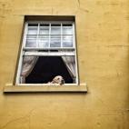 5c8b0a4a360000e01c6c5749