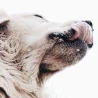 Processed with VSCOcam with hb1 preset