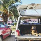 5c8b0a4b230000040123fb55