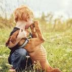 5c8b0a4c22000031001a2768