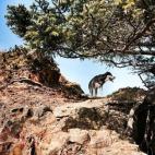 5c8b0a4c2300007f0123fb57