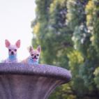 5c8b0a4c20000045047005a1