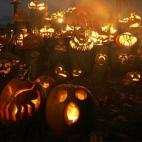 Seguir a katieelizabethelliss