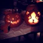 Seguir a matt_offutt