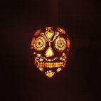 Seguir a Stacey Lynn Roy