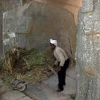 5c8aa4543b000070066c47a1