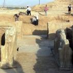 5c8aa4543b000070066c47a3