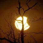 5c8b32d52300002f00e7d0b4