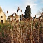 Entre 1867 y 1871, la región de San Andrés de Giles fue asolada por una epidemia de fiebre amarilla y cólera. Hubo tantos fallecidos que la ciudad tuvo que construir un tercer cementerio para el descanso de las víctimas. Con el tiempo, los ...